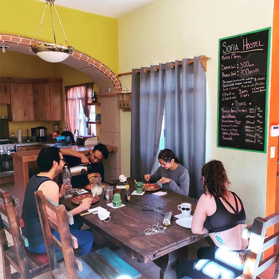 Sofia Hostel Cabo 卡波圣卢卡斯 外观 照片