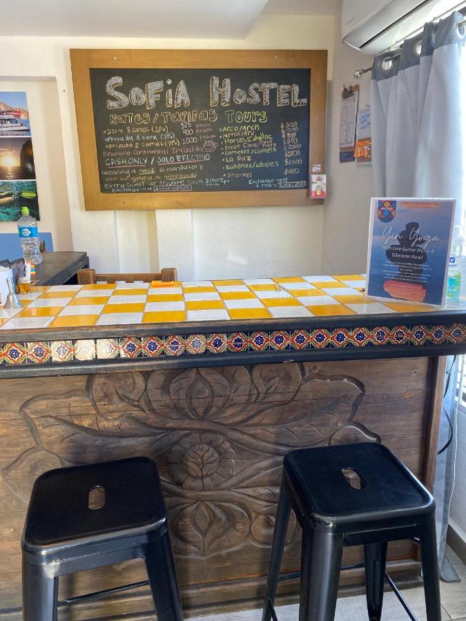 Sofia Hostel Cabo 卡波圣卢卡斯 外观 照片