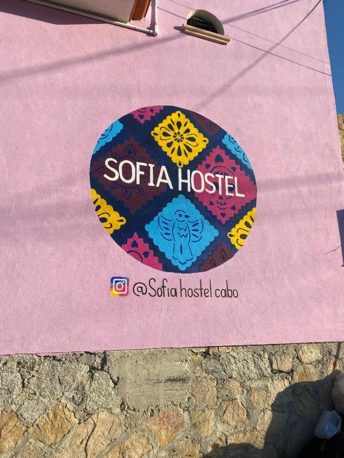 Sofia Hostel Cabo 卡波圣卢卡斯 外观 照片